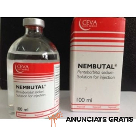 Pedir pentobarbital sódico nembutal de calidad (monicasara3