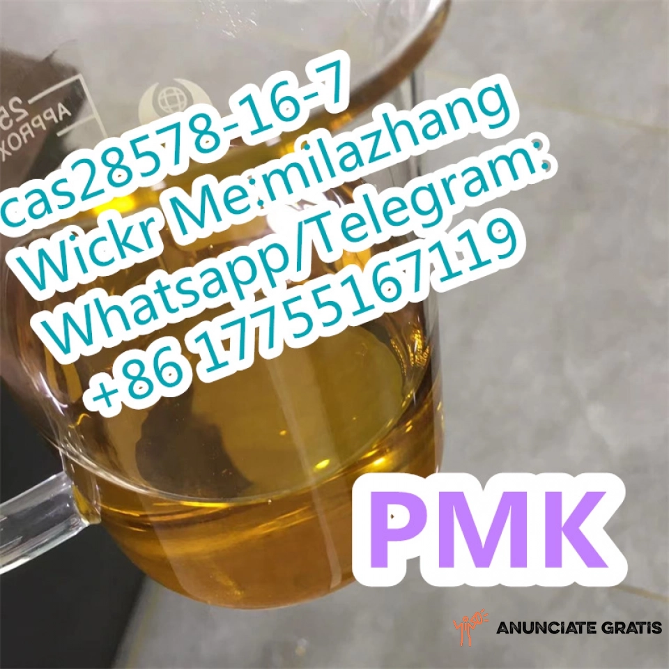 PMK Oil cas28578-16-7 with Factory Price  