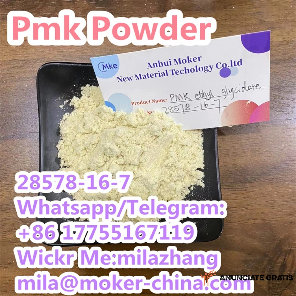 Professional Supplier High Purity PMK Powdercas28578-16-7 
